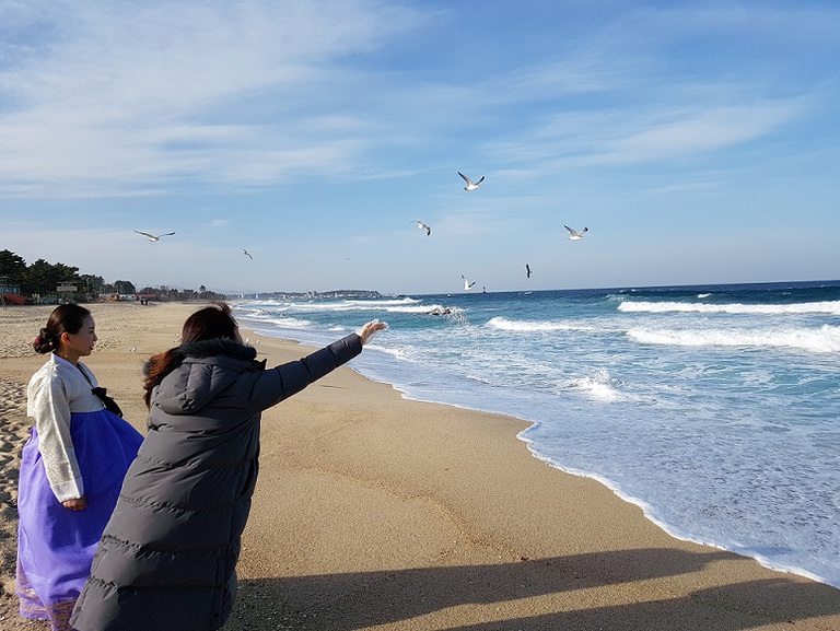 강원도 강릉 용궁 정성